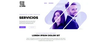 consultor