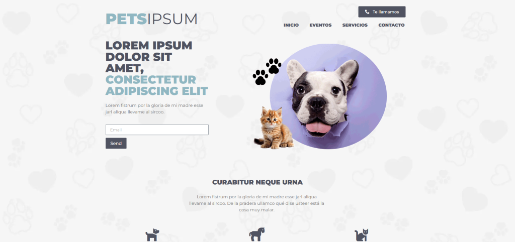 petjoaquinruin
