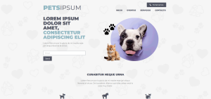 petjoaquinruin